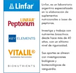 Peptine Cellulite Linfar 90 Cápsulas – Suplemento para Celulitis - Imagen 4