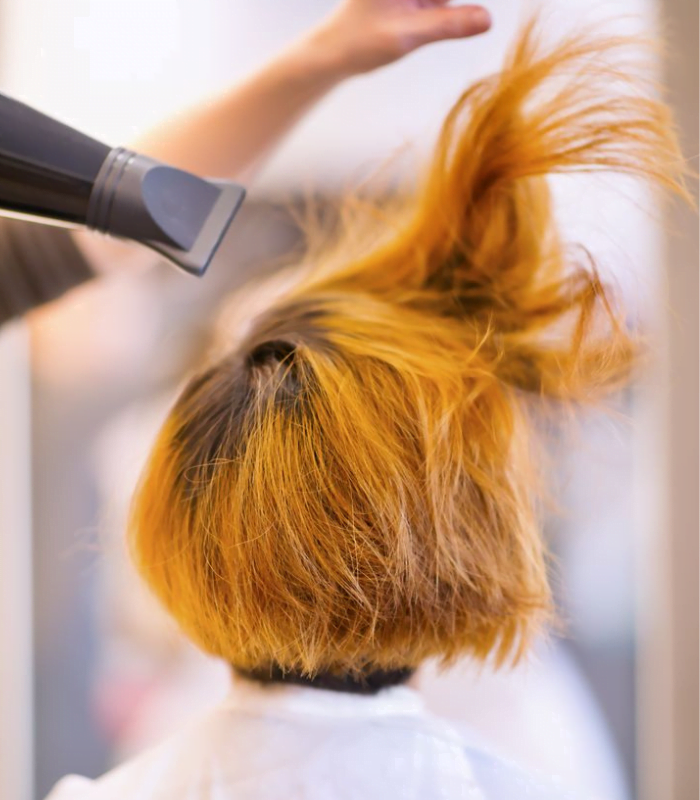 Diseño sin título (10)